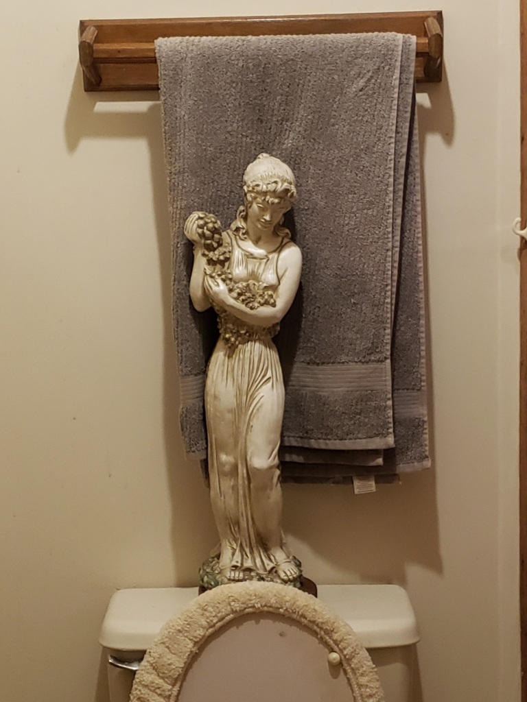 Statue above a toilet. Why?